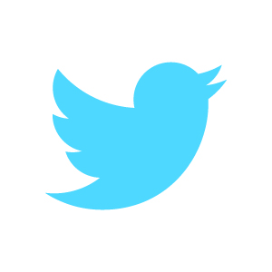 twitter-bird-blue-on-white twitter-bird-blue-on-white